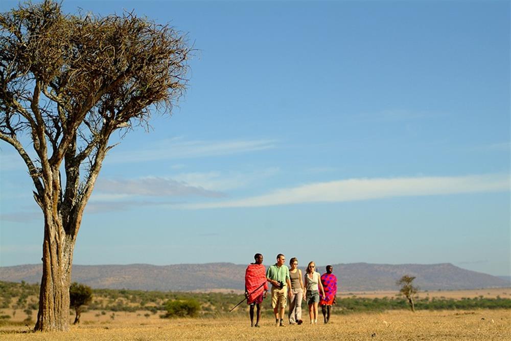 Porini Mara Camp